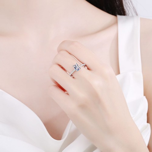1 CT Moissanite Circular and rectangular faceted cutting s925 Silver Ring Engagement Rings C2025020108 